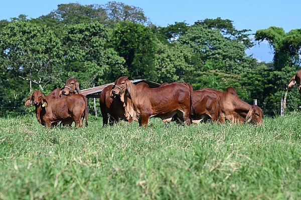 Hacienda La Esperanza