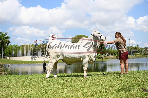 Miami Florida Lake Photos