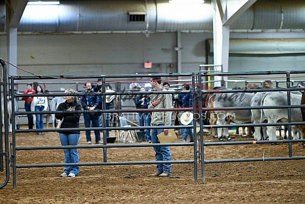 2024 ABBA Winter Classic Stock Show