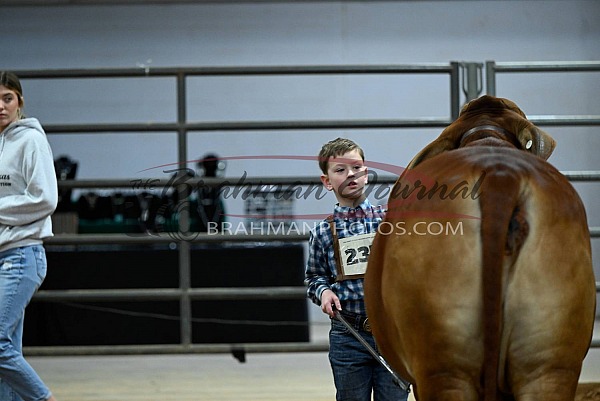 2024 Heart of Texas Open & Junior Show