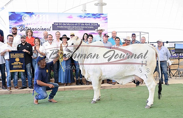 2024 VIII Muestra Internacional de Ganado Cebu