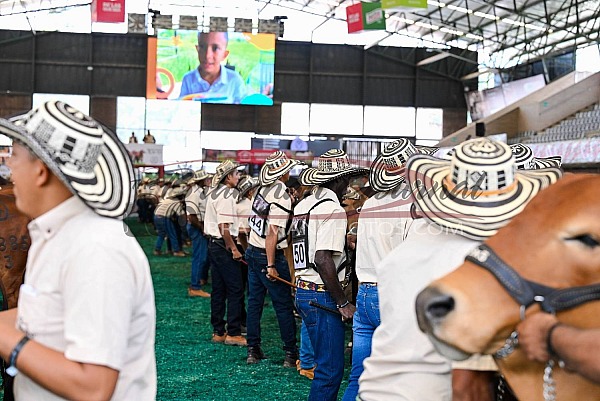 2024 Nacional Colombia