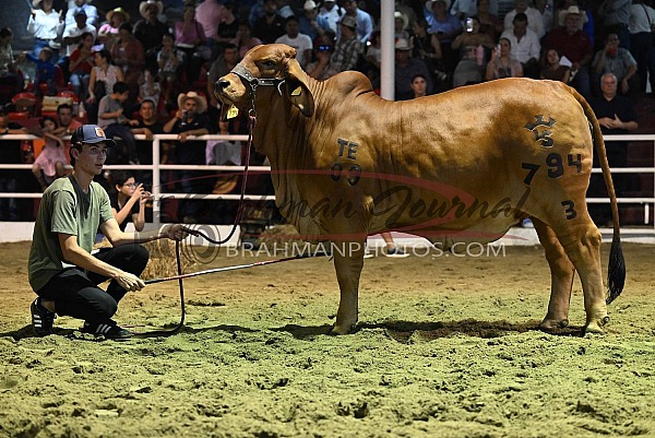 2025 Exposición Ganadera Regional Tabasco, México