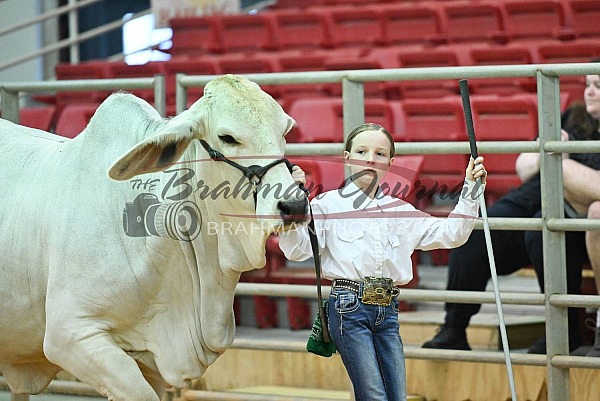 2025 Jacksonville Fair 