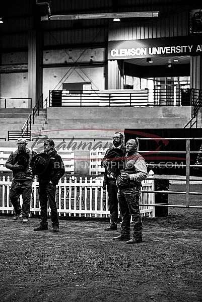 2025 EBBA Christmas Classic Show