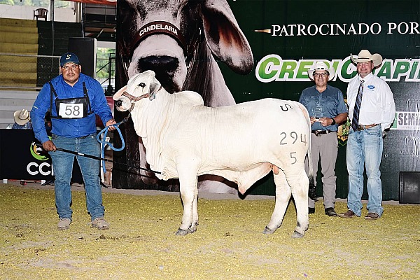 2026 Guatemala National Show - Esquipulas